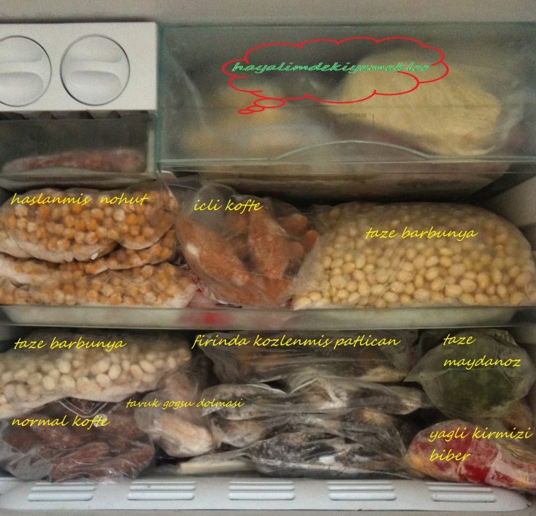 Taze Barbunya Nasıl Saklanır ( ve Derin Dondurucuda Neler Saklanır )