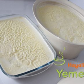 yoğurt nasıl mayalanır