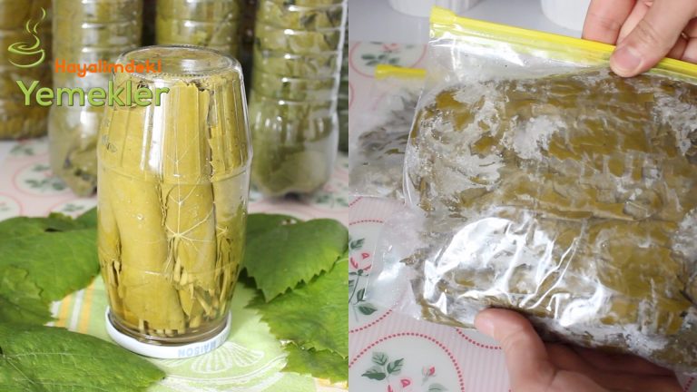 Konserve Yaprak Saklama ve Derindondurucuda Yaprak Nasıl Saklanır