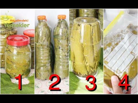 Uzun Ömürlü En İyi Asma Yaprağı Saklama Yöntemleri – Bozulma Yapmayan Üzüm Yaprağı Salamurası